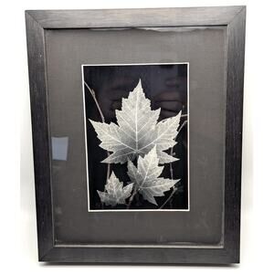 SAGE DESIGNS Phantom Leaves Framed Skeleton Leaf Wall Art Decor